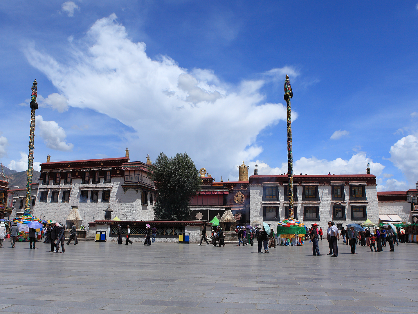 雅鲁藏布江畔的十里花溪-拉萨林芝两地 5晚6天_八大洲旅游