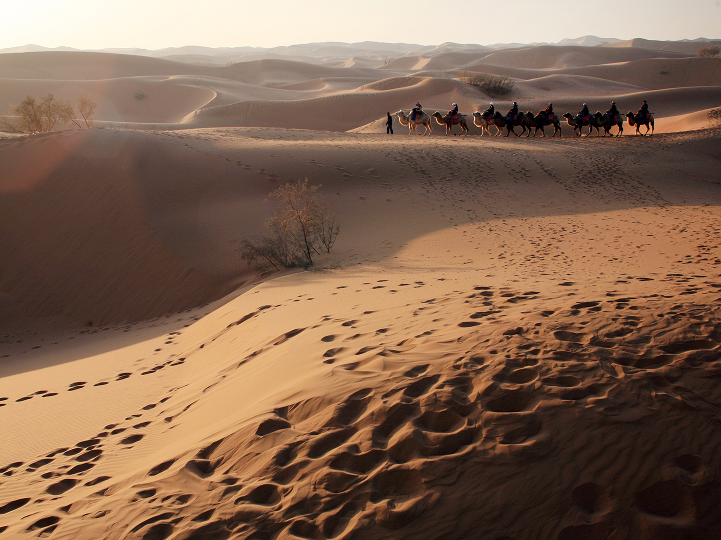 【携程攻略】中卫沙坡头景点,沙坡头旅游区总体来说很值得去一趟，尤其是带孩子一起去沙漠中游玩，…