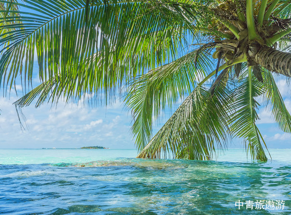 馬爾代夫4晚6天百變自由行【四季 庫達呼拉/Four Season Kuda Huraa /奢華島嶼】