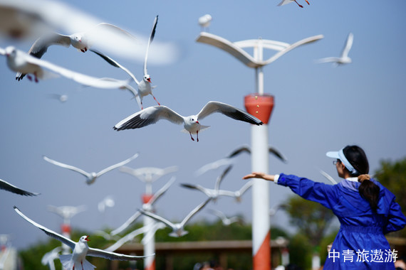 【当季爆款】云南昆明/普者黑/弥勒6日游【双飞双高/独立成团/时光醉影/普者黑仙人洞村/天鹅湖/红酒庄/弥勒东风韵小镇/可邑小镇/相思桥】