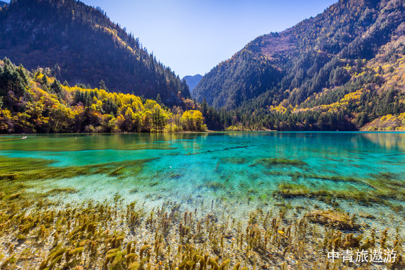 【乐享系列】四川成都/九寨沟/黄龙/乐山大佛/峨眉山/都江堰/青城山双飞8日游【纯玩无购物】