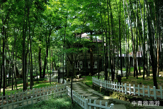 【购实惠】江西 庐山/三叠泉瀑布 双卧4日游【住山上/纯玩团】