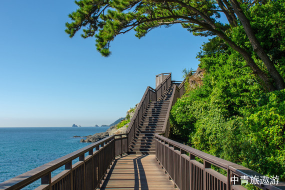【韓國(guó)】濟(jì)州一地雙飛4晚5日半自助游【城山日出峰/藥泉寺/泰迪熊博物館/蓮洞/紅白馬燈塔】