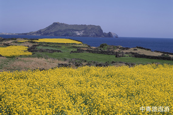 【韓國】首爾+濟州島5日跟團游 3飛不走回頭路 雙城之旅