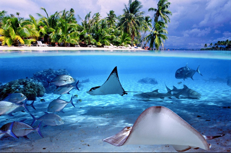 【大溪地邮轮】庞洛邮轮保罗高更号波拉波拉岛+胡阿希内岛+塔哈岛+茉莉雅岛+帕皮提岛9晚11天