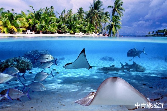 【大溪地邮轮】庞洛邮轮保罗高更号波拉波拉岛+胡阿希内岛+塔哈岛+茉莉雅岛+帕皮提岛9晚11天