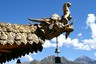 【西藏】雪域江南&当地7日：林芝+大峡谷+鲁朗+巴松措+布达拉宫+大昭寺+羊湖+纳木措 【12人轻奢团|0自费0购物|林芝进拉萨出】