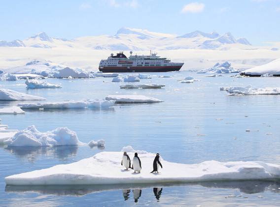南极&阿根廷 大南极洲探险22晚26天私享游