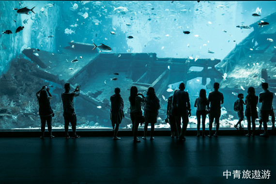 【东南亚】新加坡+马来西亚5晚7天【加姆达水上乐园｜日/夜间动物园｜河川生态园｜夜宿动物园】