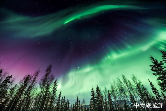 【不只极光ALOHA AURORA】从夏威夷火山到阿拉斯加冰川 跨越北极圈 西雅图不眠夜 美国15日游