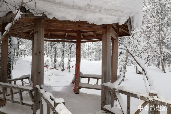 【购实惠】吉林雾凇/万科松花湖滑雪/长白山天池/镜泊湖冬捕/雪乡/亚布力/哈尔滨卧动6日游【升级长白山温泉酒店/1车1导/0购物无强消】
