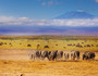肯尼亚山国家公园10日游,肯尼亚山国家公园10日游费用-中青旅遨游网