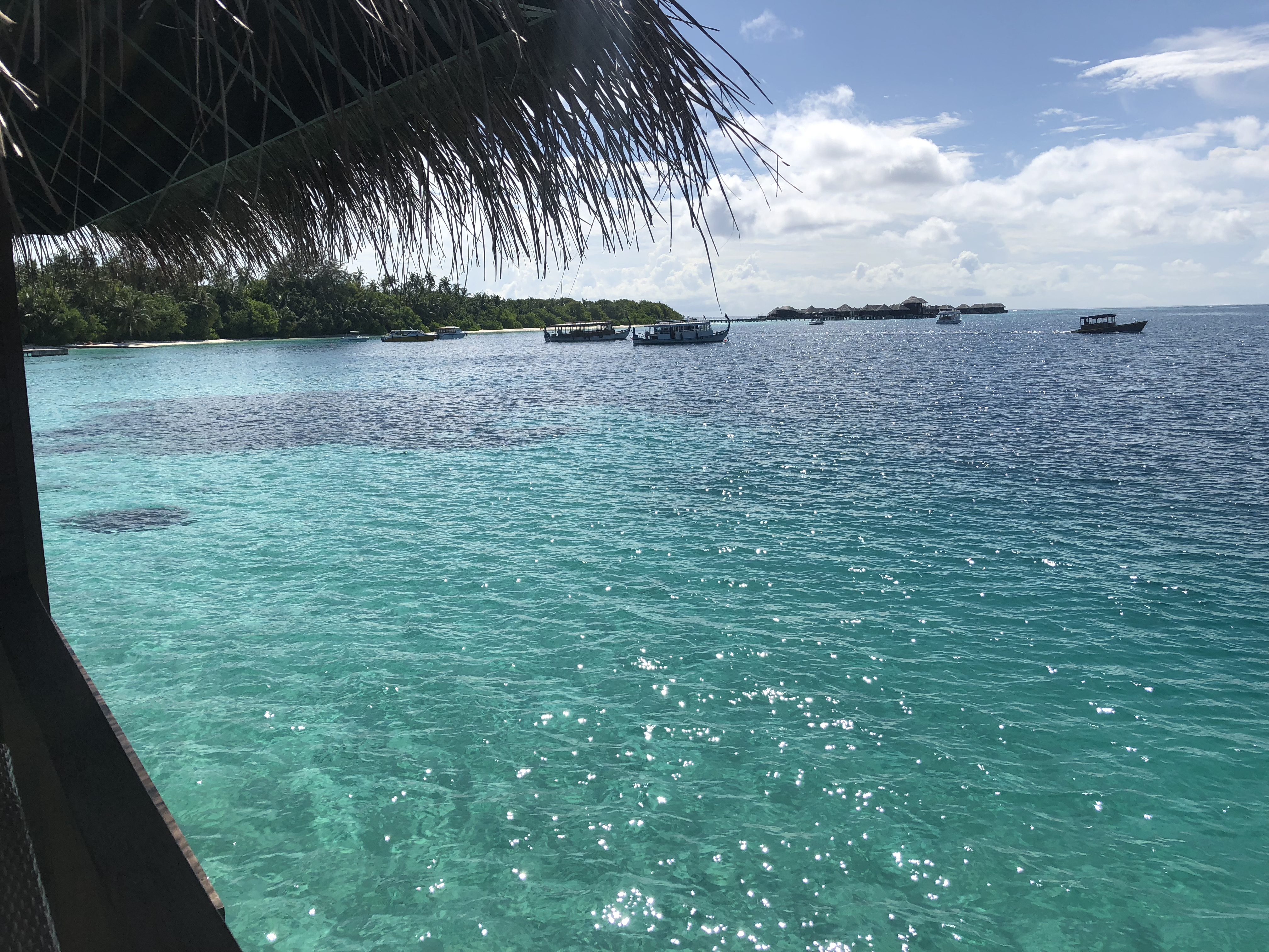 馬累6日游,馬累6日游費用-中青旅遨游網