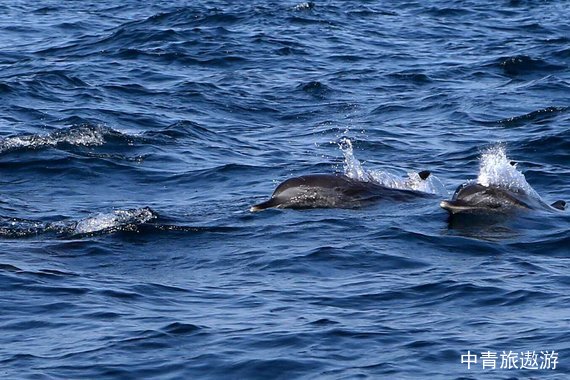 【山東】威海高鐵4日游【威海丨榮成丨那香海丨劉公島丨海驢島丨海洋牧場】