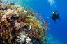 【海底世界】台湾台东绿岛考初级潜水执照(两人成行)5日游