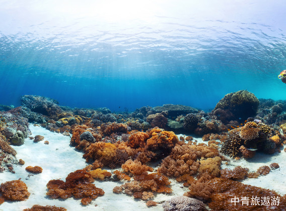 【恋上巴厘岛】5晚7天私家团【独栋泳池别墅+海边五钻度假村/观火山景/文艺乌布/佩达尼岛出海/金巴兰海滩晚餐】