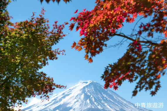日本本州7日雙自由假期之旅（日本大阪、京都、奈良、箱根（富士山周邊地區(qū)）、東京）7日游