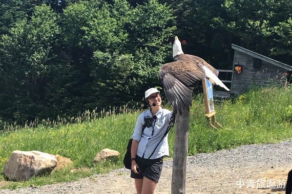 【北美洲】加拿大西东部+穿越落基山14天12晚【温哥华|班夫|卡尔加里|蒙特利尔|渥太华|多伦多】