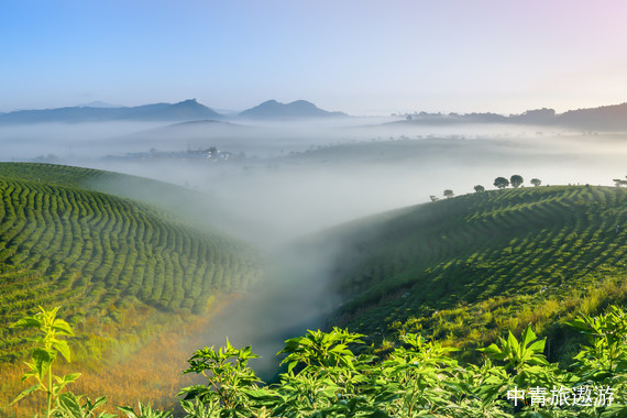 【云南】耀昆版•双飞/当地6日【昆明+版纳：野象谷+中科院勐仑植物园+傣族园+大佛寺+星光夜市+曼掌村曼听公园】投喂大象丨孔雀放飞