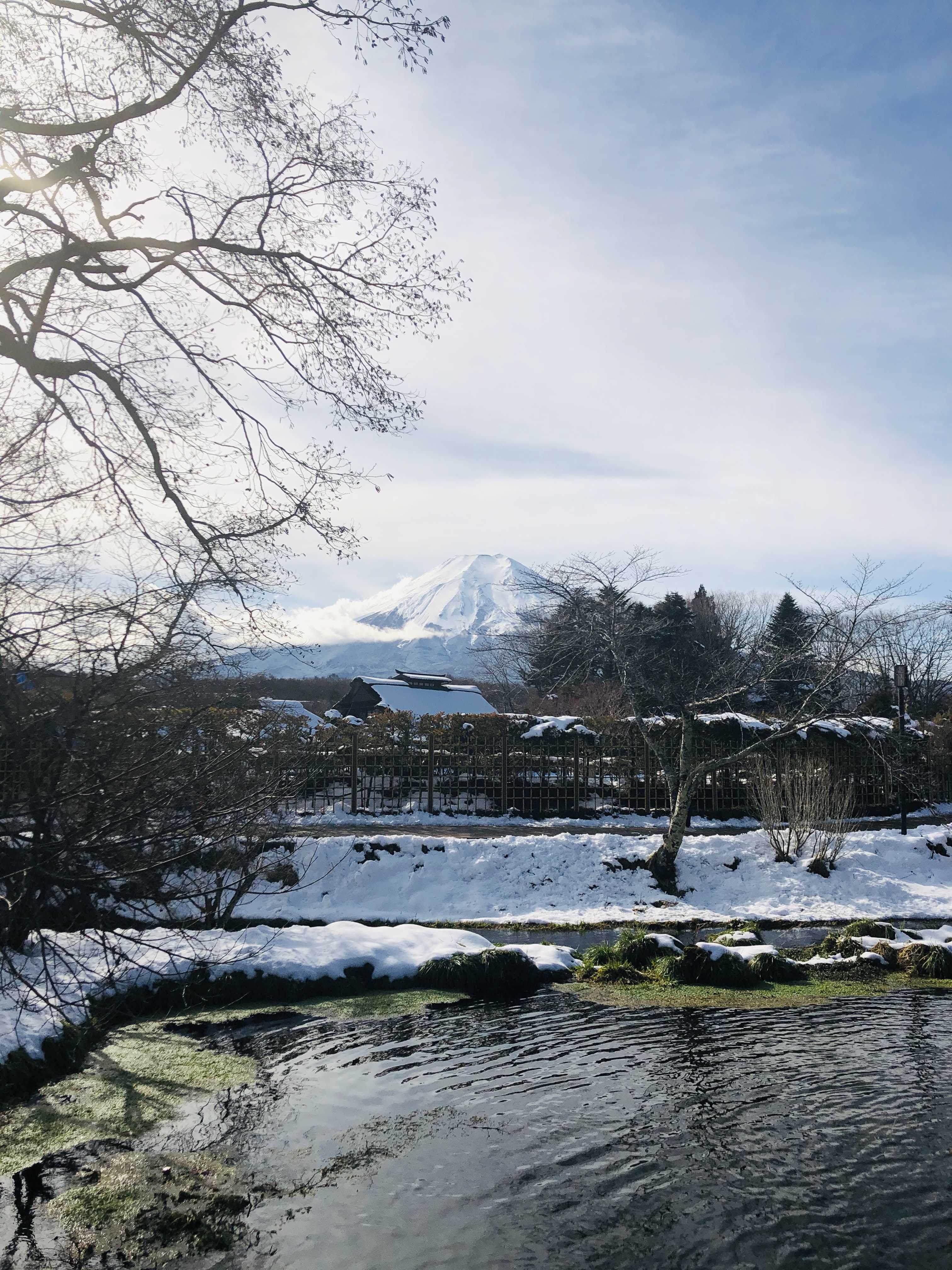 東京富士山半自助5-6日游  4-8 人 VIP 小團專車接送 貼心服務東京繁華地區(qū) 3-4 晚連住+1 晚日式溫泉酒店（含特色溫泉料理）