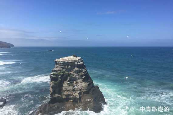 【大洋洲】新西兰南北岛15/16日全景之旅【双冰川+5大雪山湖泊|凯库拉观鲸|米佛峡湾|库克山徒步|霍比屯|萤火虫洞|奥马鲁】