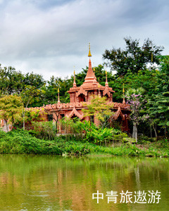 【云南】西双版纳双飞5日【野象谷|原始森林】