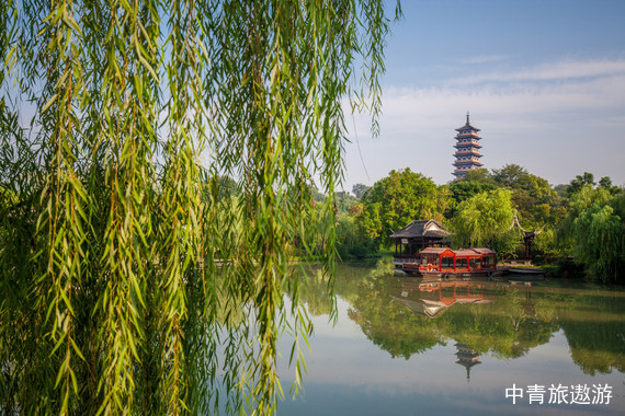【芳華旅行家】逐春江南·一路繁花 華東6市雙高8日游【瘦西湖+千垛油菜花+何園+李中水上森林+黿頭渚+大縱湖+中華麋鹿園+金山寺+南山竹海】