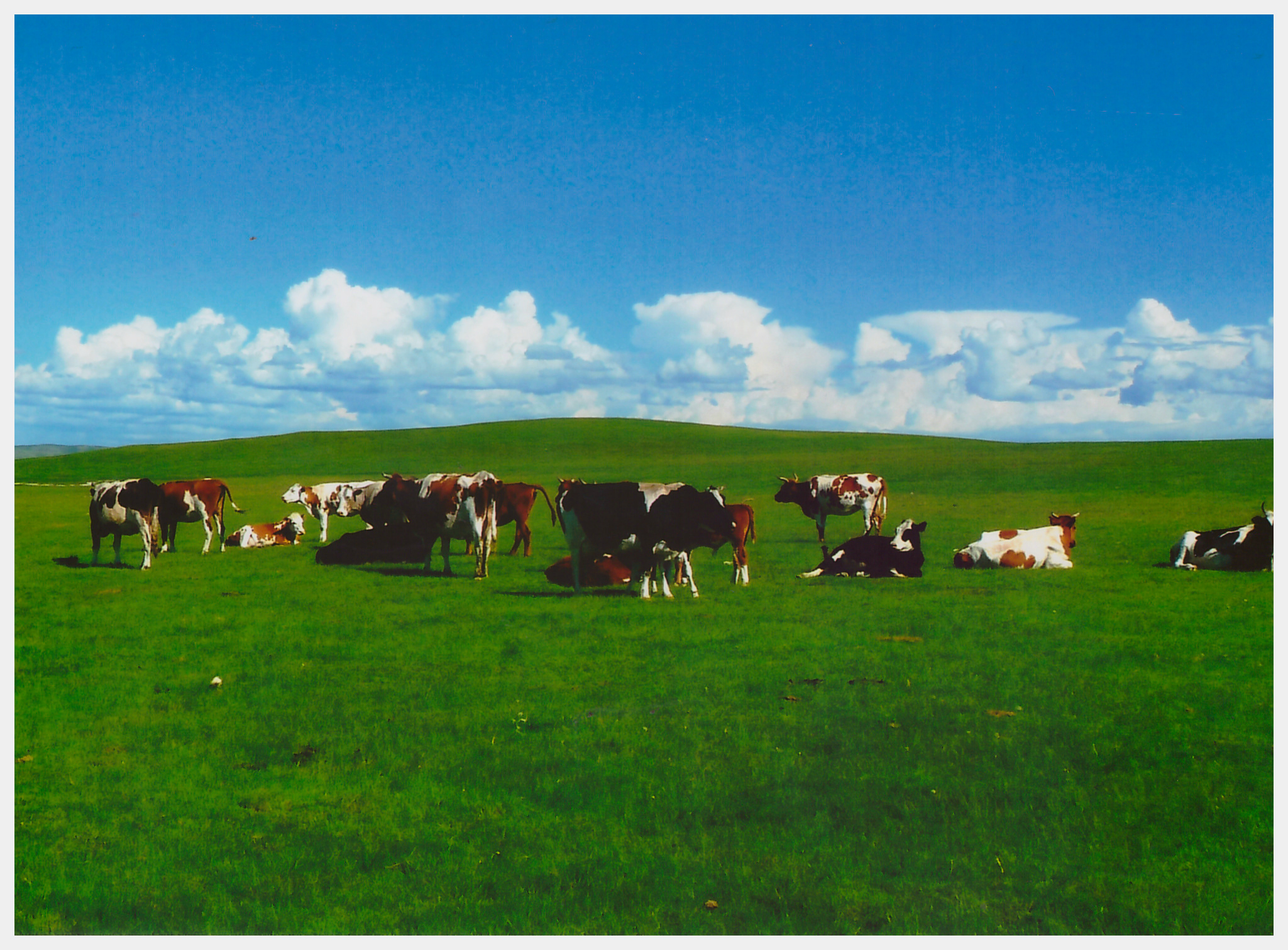 乌兰察布--大美辉腾锡勒草原黄花沟+网红乌兰哈达火山2-3日游【诗与远方，不负韶华】