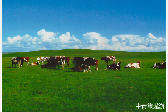 乌兰察布--大美辉腾锡勒草原黄花沟+网红乌兰哈达火山2-3日游【诗与远方，不负韶华】