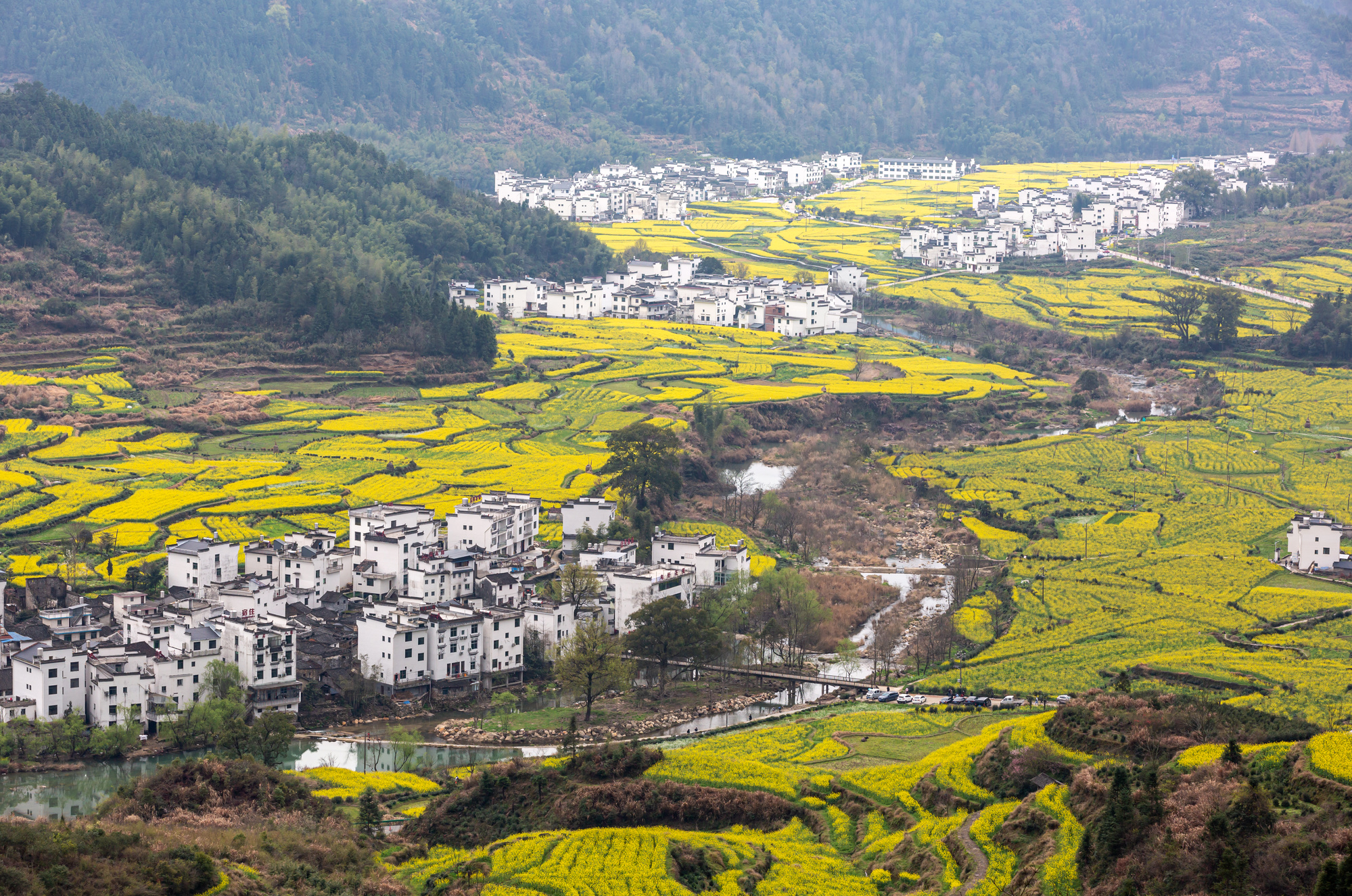 【江西】廬山+景德鎮(zhèn)+望仙谷+三清山+婺源篁嶺雙高6日游【2晚網(wǎng)評四鉆酒店，升級2晚五鉆豪華民宿；廬山指定畔山隱舍，婺源指定閱徽堂】