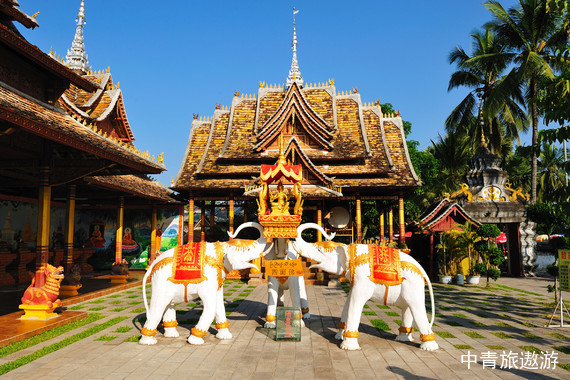 【云南】西双版纳双飞五日【野象谷+原始森林公园+热带花卉园+勐泐文化园+般若寺+傣族园+告庄西双景自由活动】