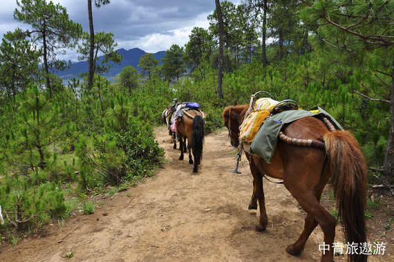 【云南】昆明+版納雙飛6日游【景邁山+野象谷+大佛寺+傣樓】