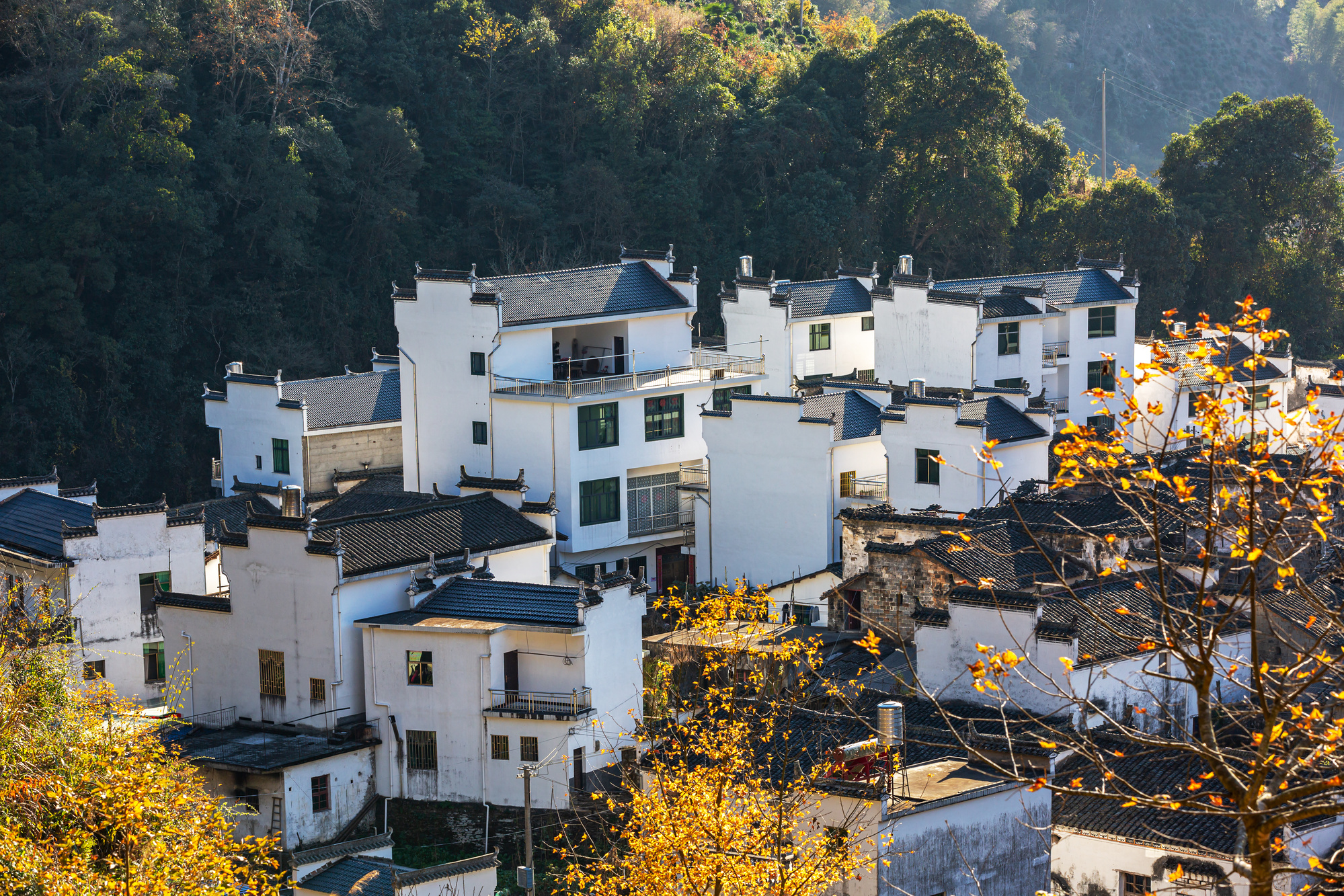 【江西】景德镇、婺源、望仙谷、三清山、高岭中国村、陶溪川、滕王阁、万寿宫双高6日游【四晚携程四钻酒店】