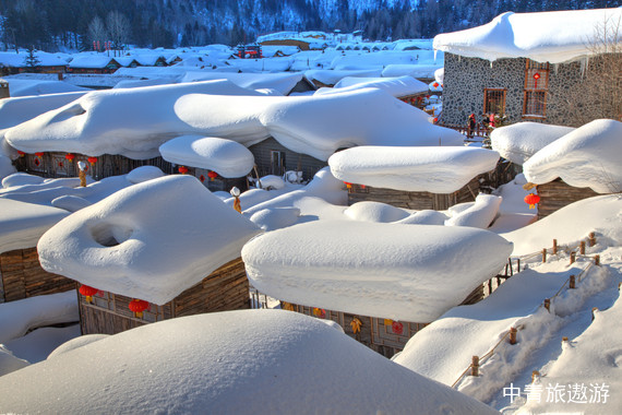 【东北】哈尔滨+亚布力+雪乡+延吉+长白山+双高6日游【红专早市+亚布力滑雪+冰雪画廊+鲜族民俗园+延吉旅拍+长白山天池+雪绒花驯鹿园】 