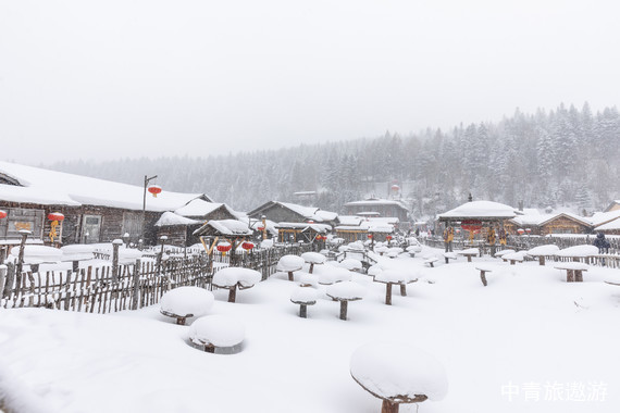 【東北】哈爾濱+亞布力+雪鄉 哈爾濱雙高6日【亞布力滑雪旅游度假區+中國雪鄉+冰雪畫廊+伏爾加莊園歐式城堡酒店+中央大街】
