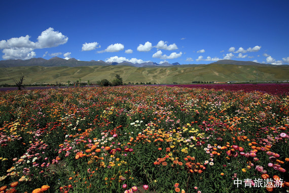 【芳華旅行家】北疆花開伊犁雙飛8日【烏魯木齊+賽里木湖+伊寧+庫爾德寧+阿依夏木的婚禮+那拉提+庫爾勒+烏尉高速+天山勝利隧道+新疆博物館】