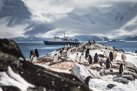 【来自南极的邀请】海空联航 飞跃南极智利深度探险13日游