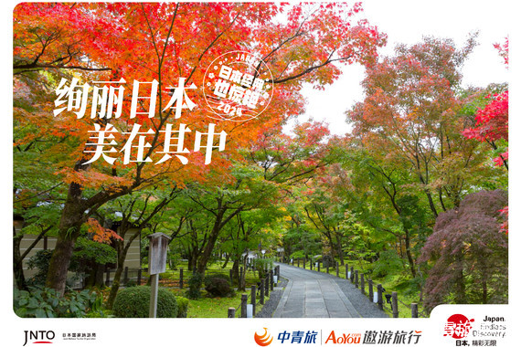 【亚洲】日本本州双乐园7日【东京迪士尼|雪乐园|奈良神鹿公园|富士山展望台】