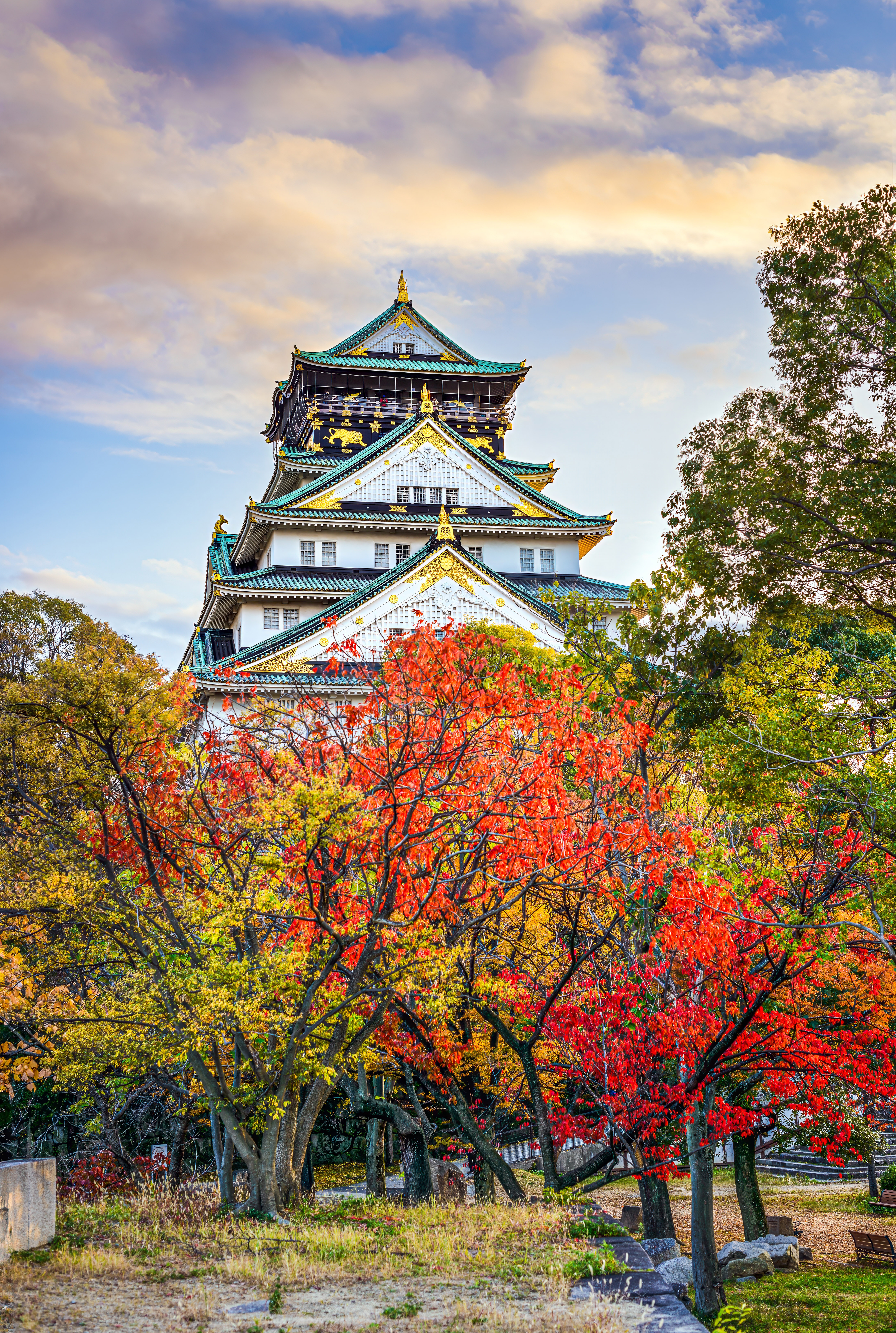 【日本】東京+大阪+京都+奈良8日游【金閣寺+淺草寺+銀座+富士山】