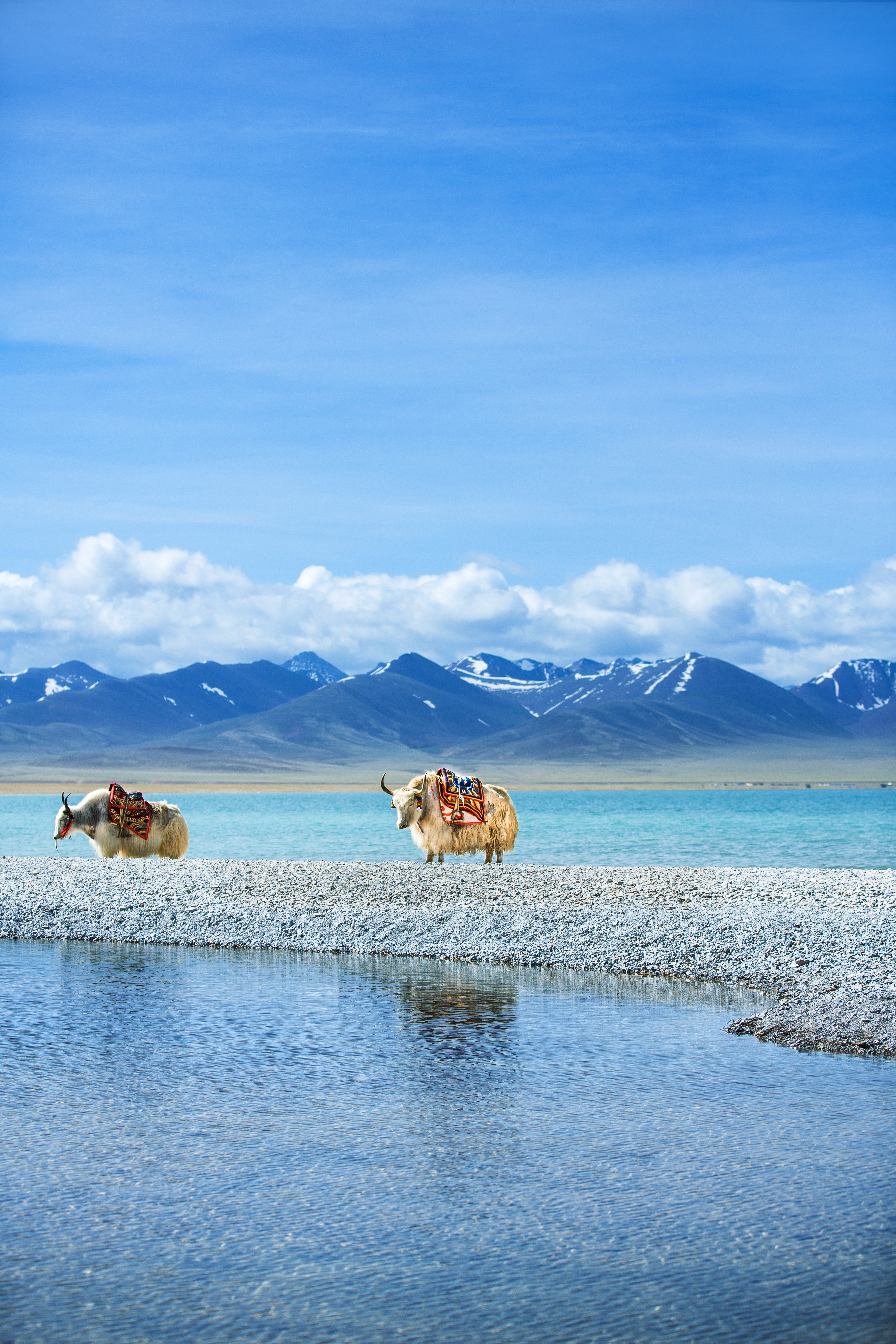 【芳华旅行家】【遨游西藏】拉萨+林芝+圣湖6-11日游【夜观南迦巴瓦+布达拉宫+大昭寺+羊卓雍措+巴松措+大峡谷+玉松岛+嘎啦桃花村】